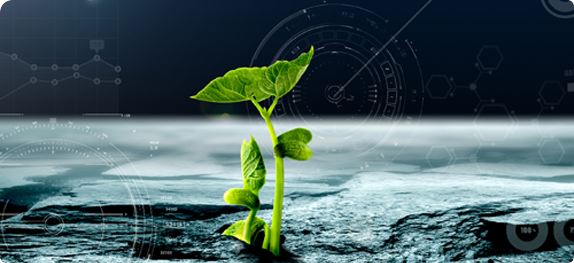 简析稳定性香蕉视频H在线观看及应用技术